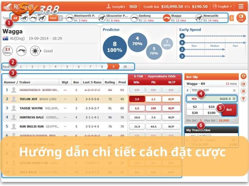Hướng dẫn cách đặt cược đua ngựa chi tiết tại SV388 Hướng dẫn cách đặt cược đua ngựa chi tiết tại SV388