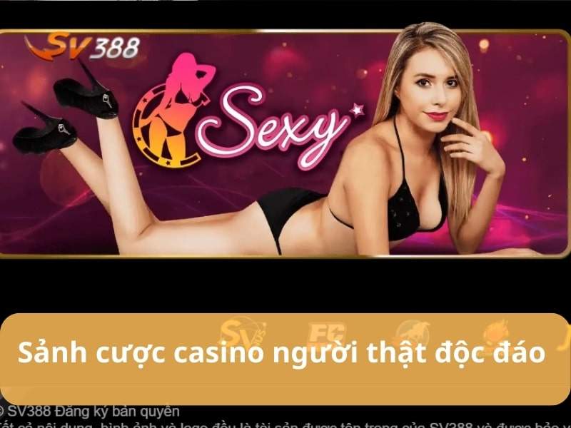 Chơi casino đẳng cấp cùng các em Dealer xinh tươi Chơi casino đẳng cấp cùng các em Dealer xinh tươi
