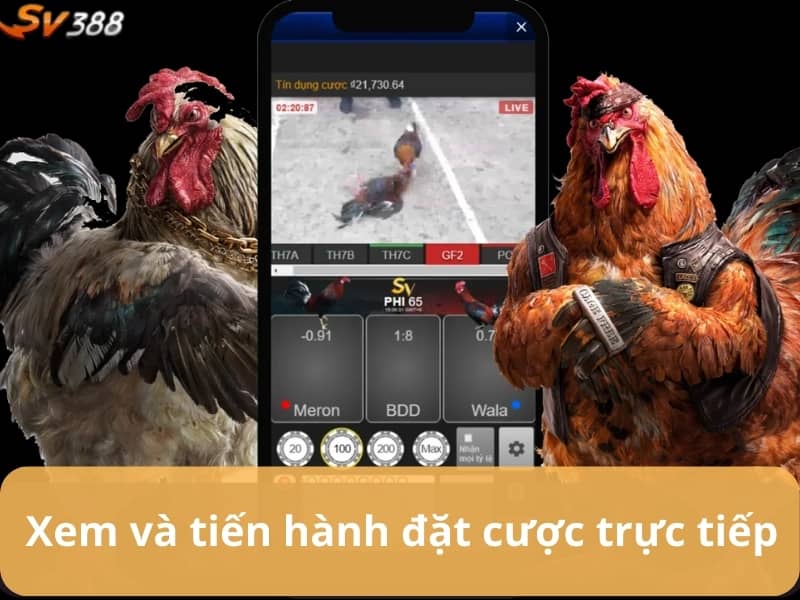 BJ88 cho phép xem và đặt cược trực tiếp BJ88 cho phép xem và đặt cược trực tiếp