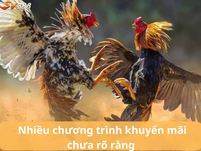 Đá gà BJ88 có nhiều khuyến mãi chưa rõ ràng Đá gà BJ88 có nhiều khuyến mãi chưa rõ ràng