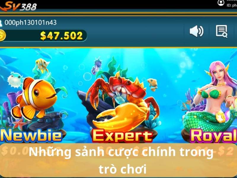 Huyền Thoại Săn Cá có 3 sảnh cược cho mọi người chơi Huyền Thoại Săn Cá có 3 sảnh cược cho mọi người chơi