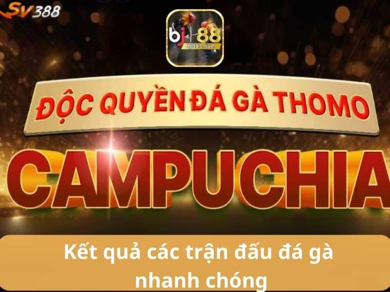 Kết quả các trận đá gà được cập nhật nhanh chóng Kết quả các trận đá gà được cập nhật nhanh chóng