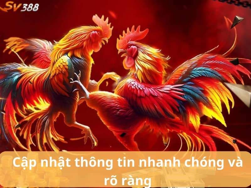 Kết quả đá gà được cập nhật nhanh chóng và rõ ràng Kết quả đá gà được cập nhật nhanh chóng và rõ ràng