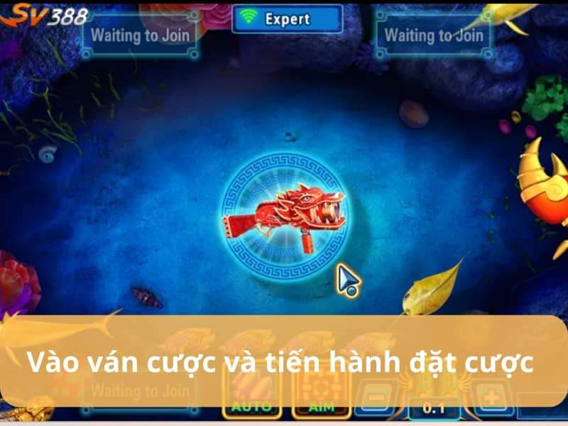 Vào ván cược và tiến hành bắn cá Vào ván cược và tiến hành bắn cá
