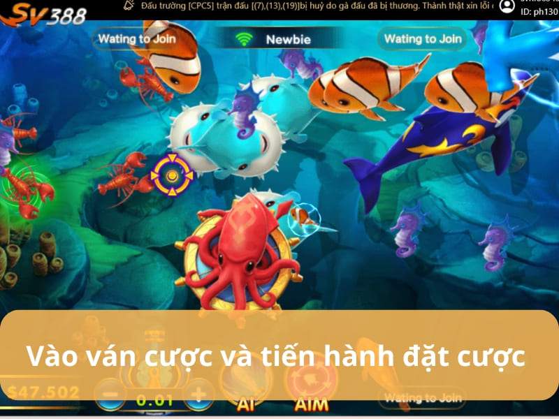 Vào ván cược và tiến hành đặt cược Vào ván cược và tiến hành đặt cược