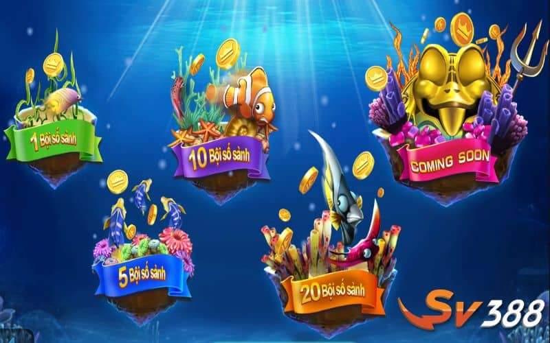 Đại Sư Đánh Cá có nhiều sảnh cược săn cá Đại Sư Đánh Cá có nhiều sảnh cược săn cá