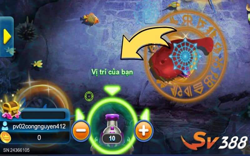 Tùy chỉnh mức cược và bắt đầu săn cá Tùy chỉnh mức cược và bắt đầu săn cá